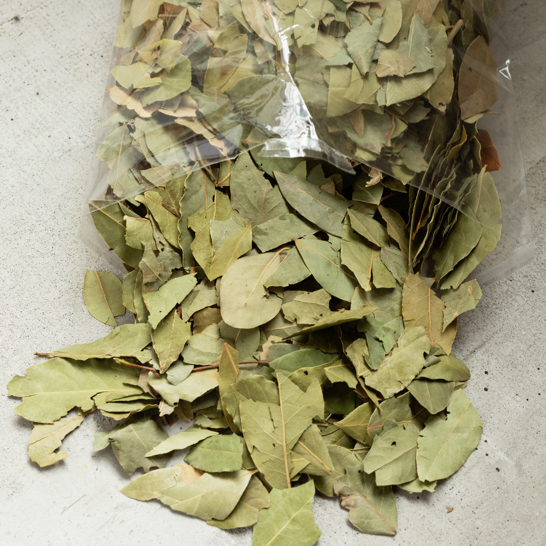 San Marcos Bay Leaf /Laurel