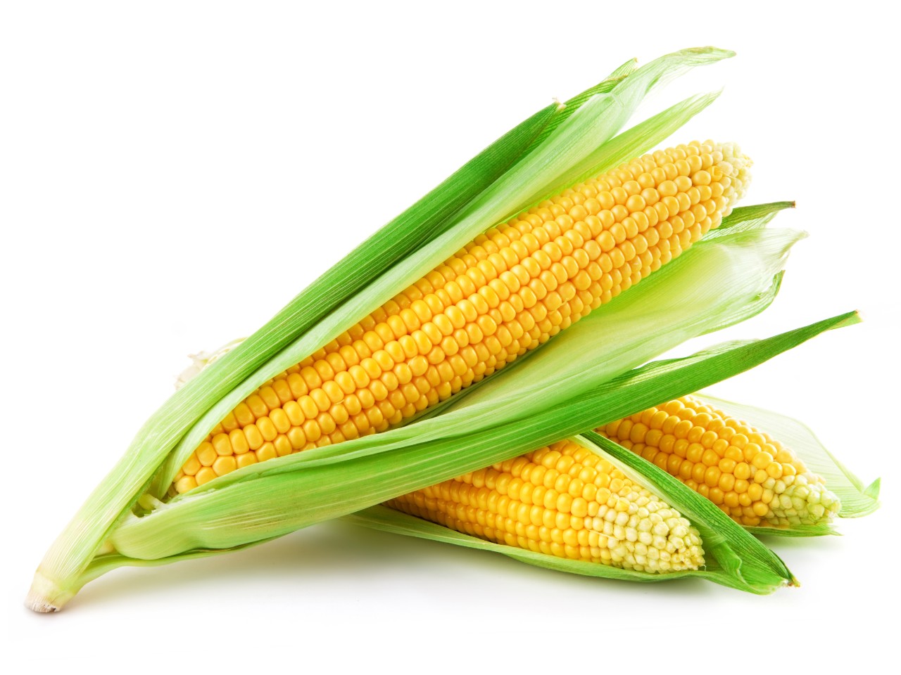 Bulk Corn | 48 Count