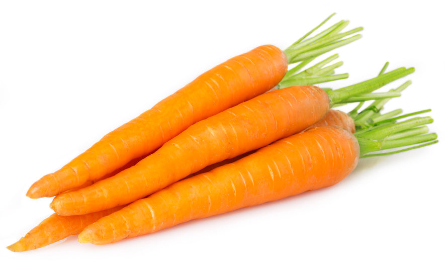 Fresh Bagged Carrots | 48/1 Lbs