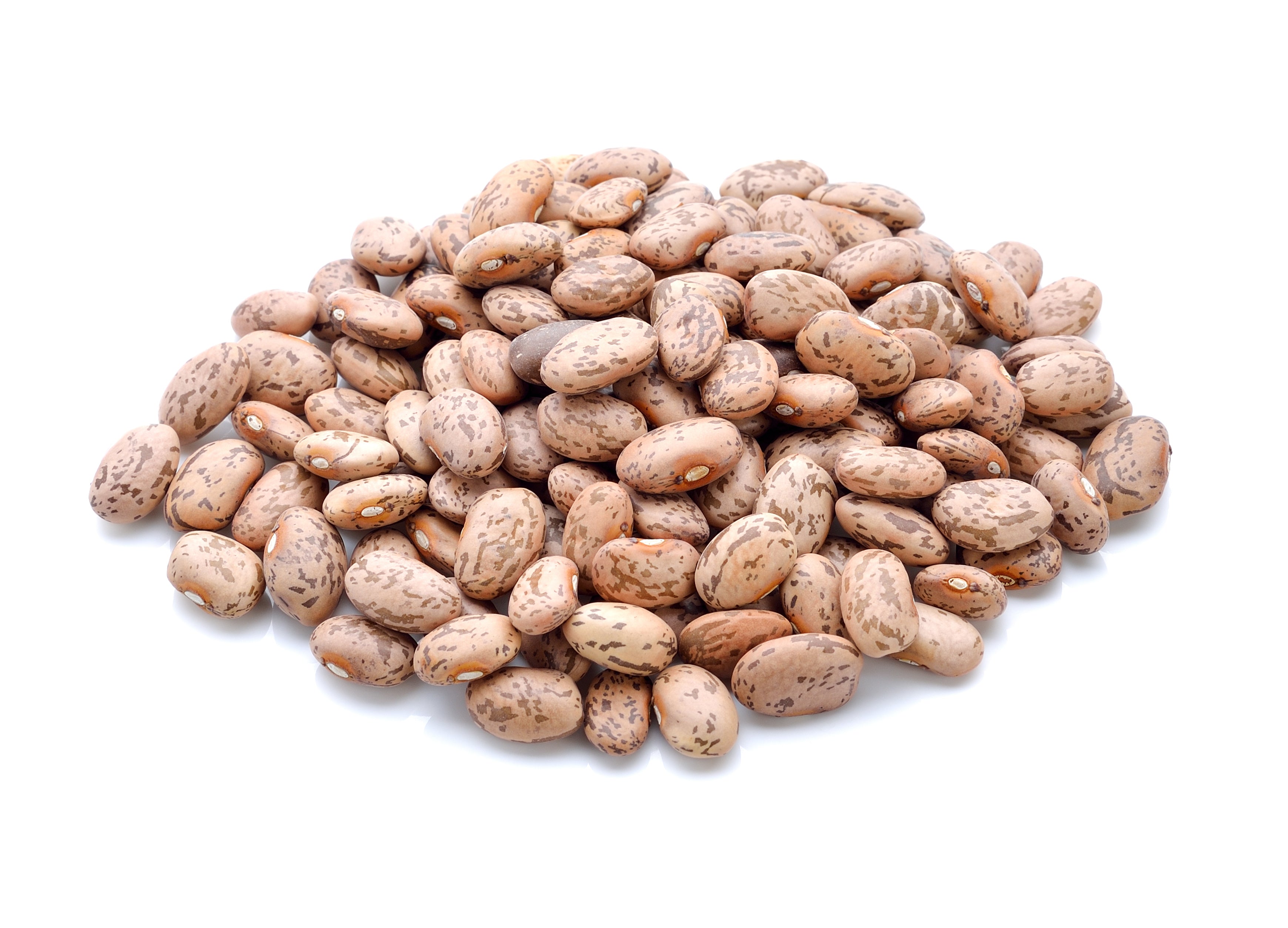 Bulk Pinto Beans | 50 Lbs