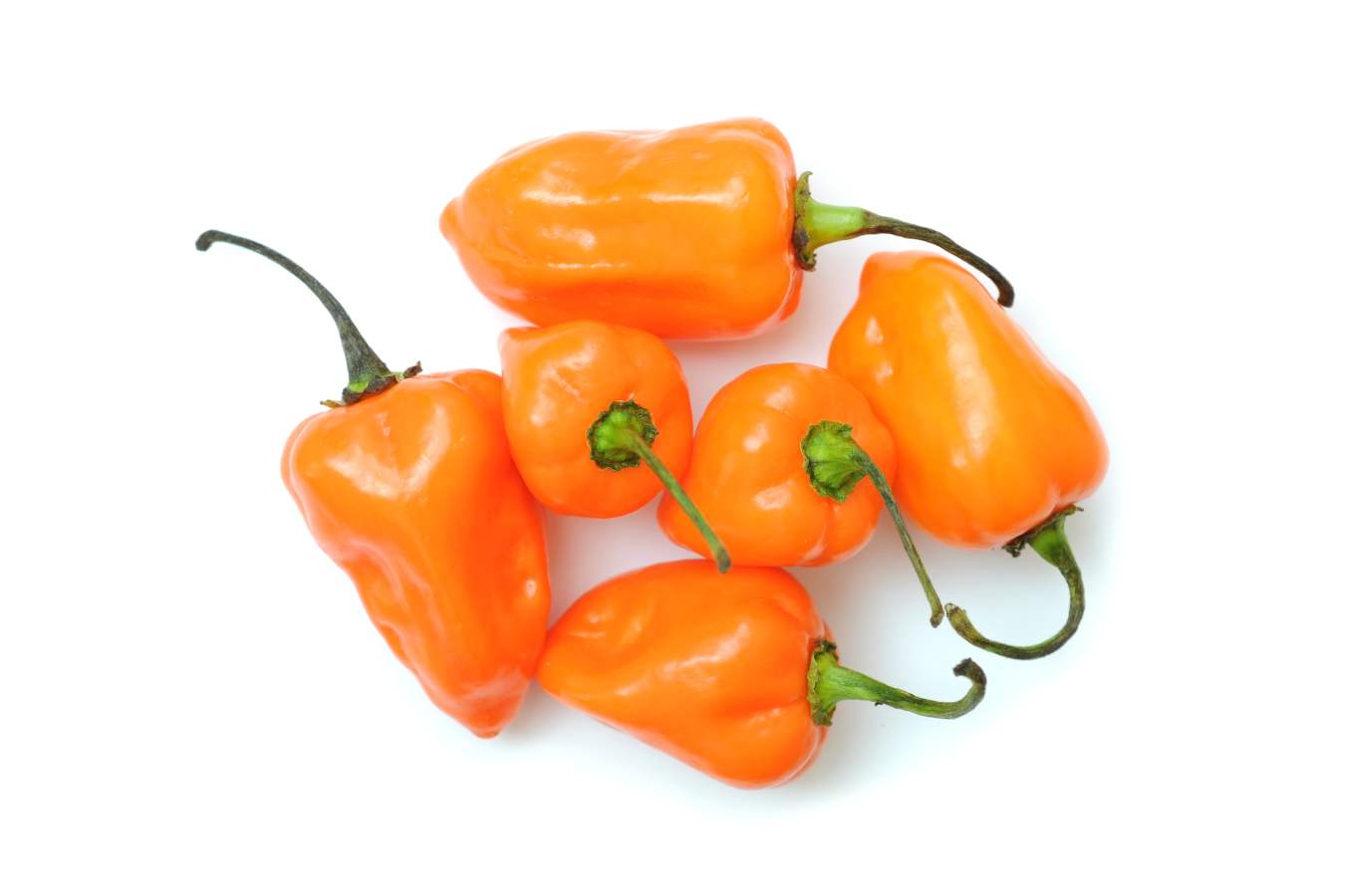 Bulk Habanero Peppers | approx 5- 8 lbs