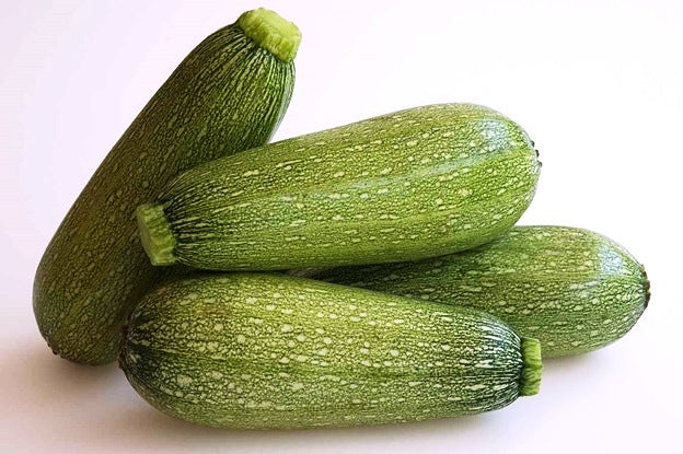 Bulk Mexican Gray Squash | 25-40lbs